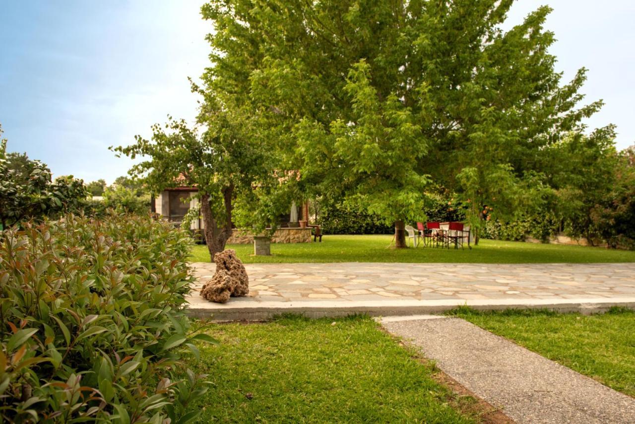 Άελλα Daire Ierissos Dış mekan fotoğraf